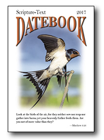 p1-Datebook